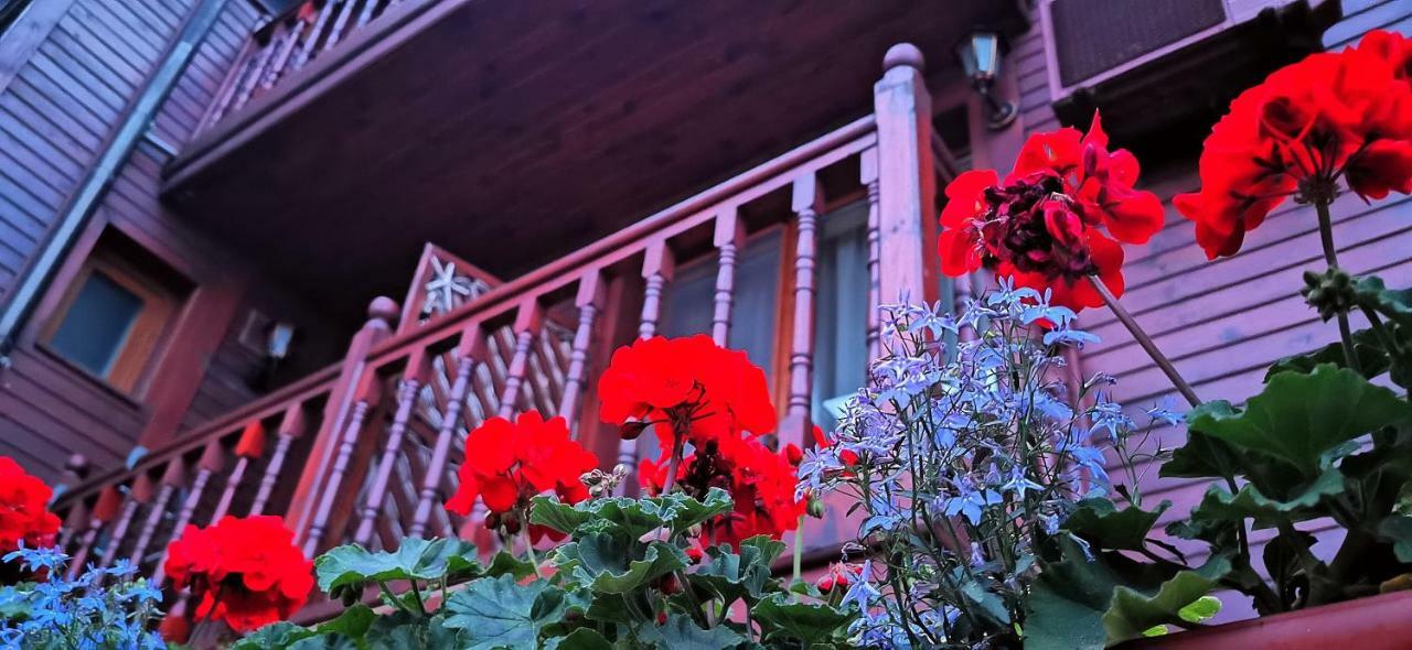 Hotel Albatros Old Town Süzebolu Dış mekan fotoğraf
